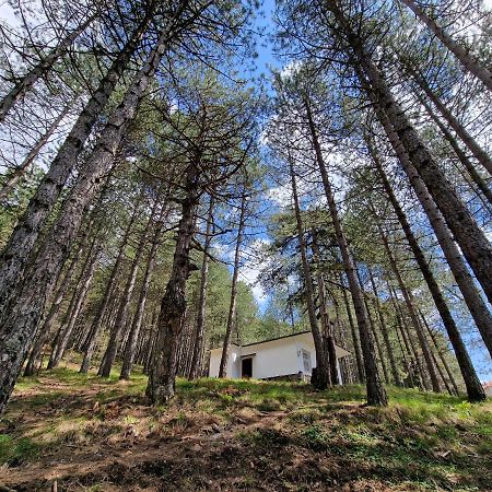 Bujtinat Skenderi Gjinar 2 Villa Bagian luar foto