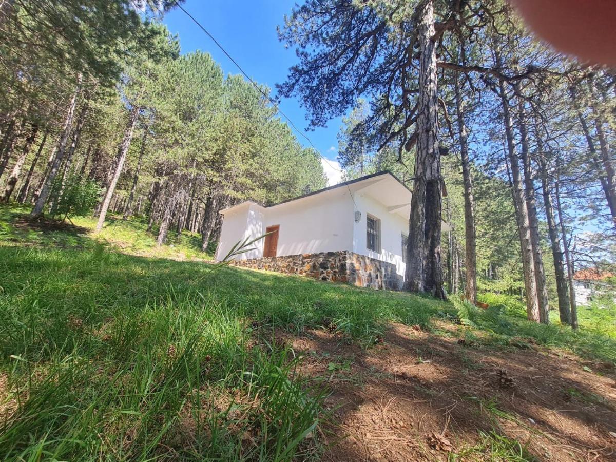 Bujtinat Skenderi Gjinar 2 Villa Bagian luar foto