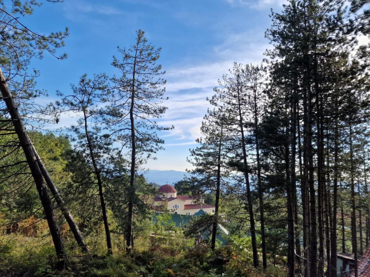Bujtinat Skenderi Gjinar 2 Villa Bagian luar foto