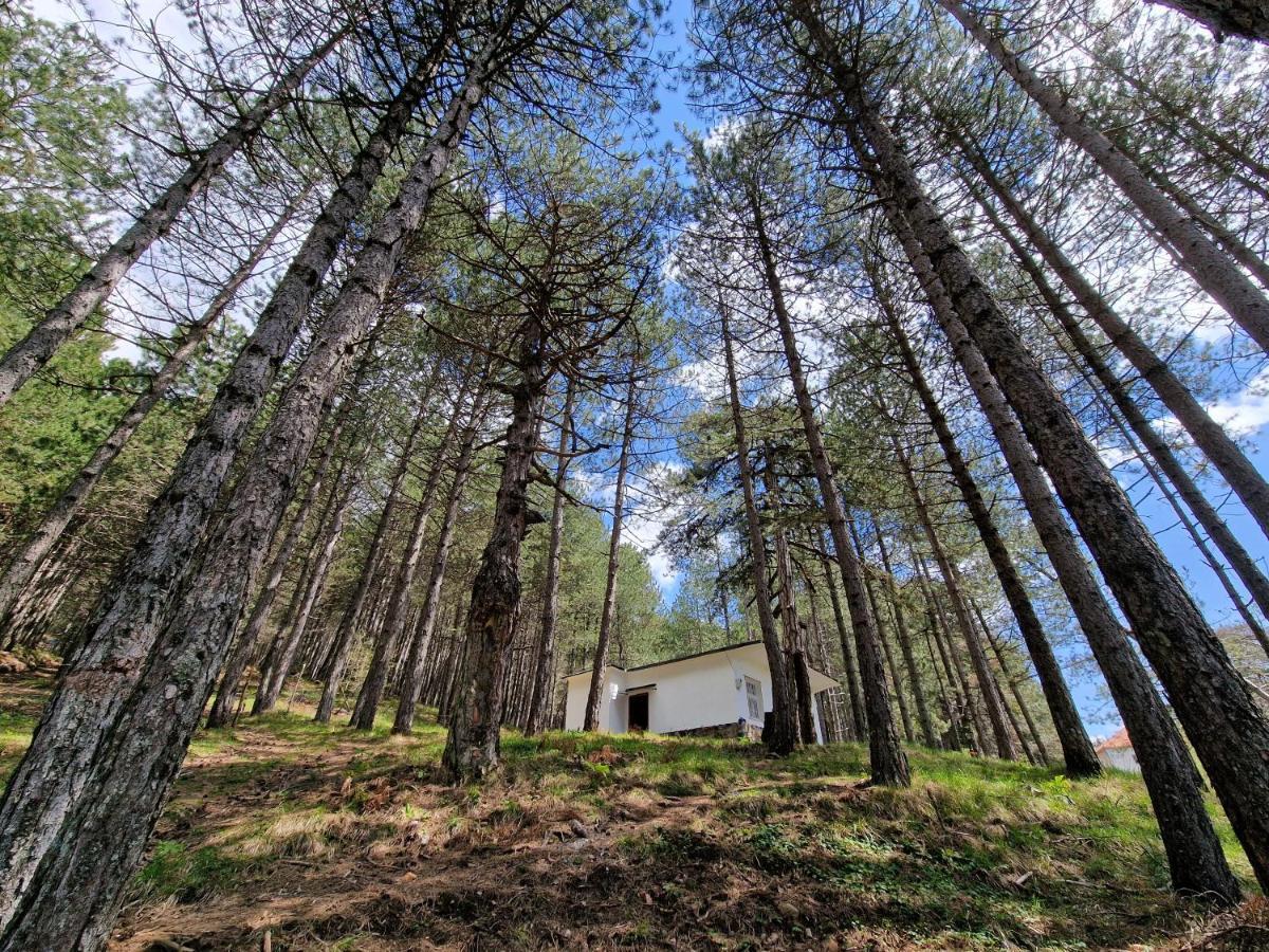 Bujtinat Skenderi Gjinar 2 Villa Bagian luar foto