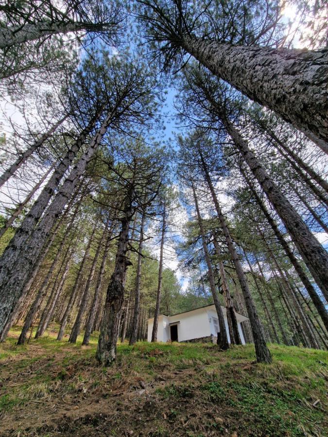 Bujtinat Skenderi Gjinar 2 Villa Bagian luar foto