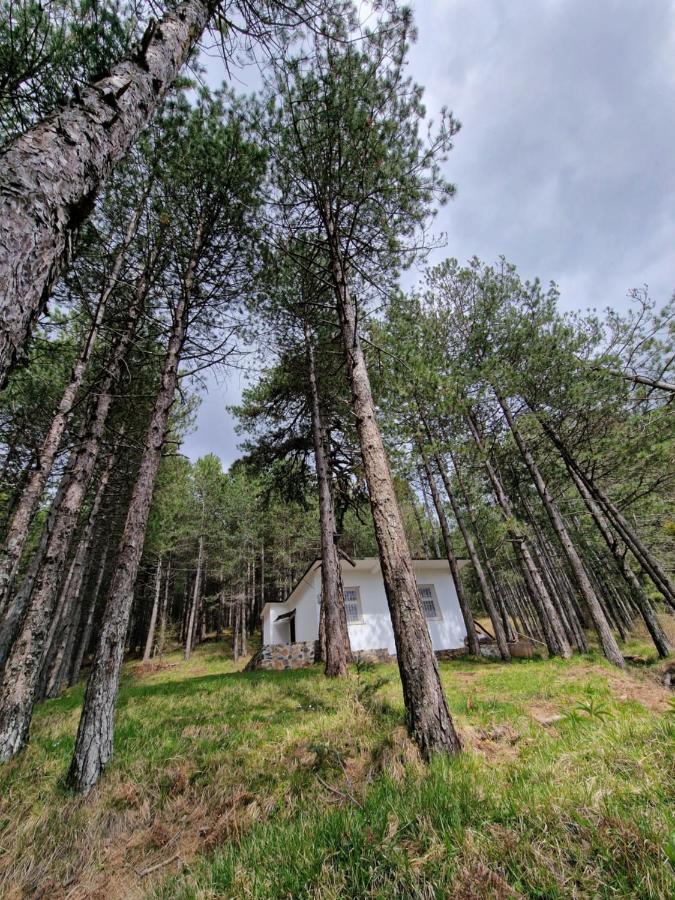 Bujtinat Skenderi Gjinar 2 Villa Bagian luar foto