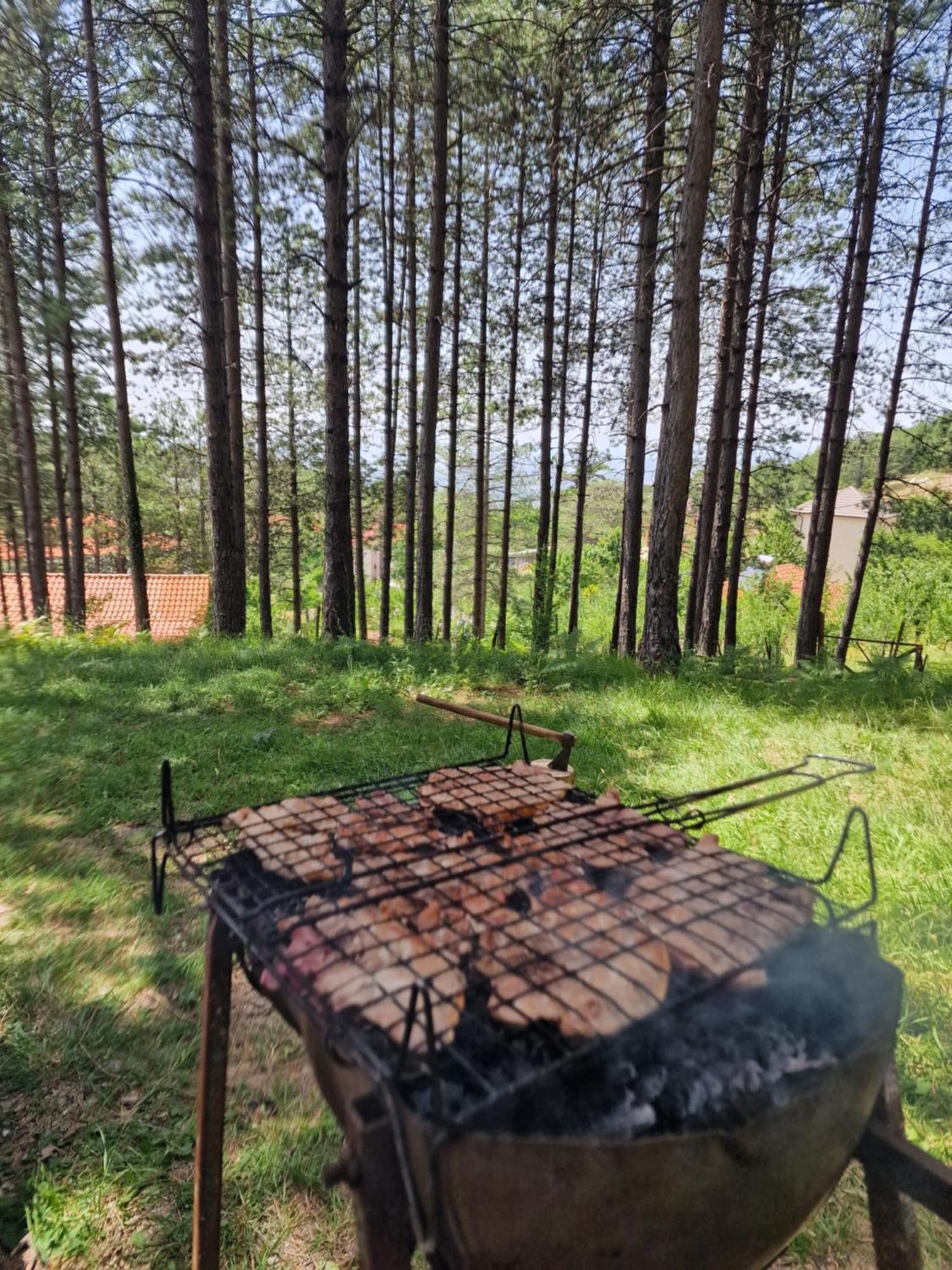 Bujtinat Skenderi Gjinar 2 Villa Bagian luar foto