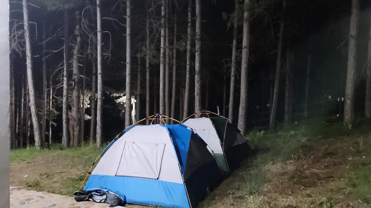 Bujtinat Skenderi Gjinar 2 Villa Ruang foto