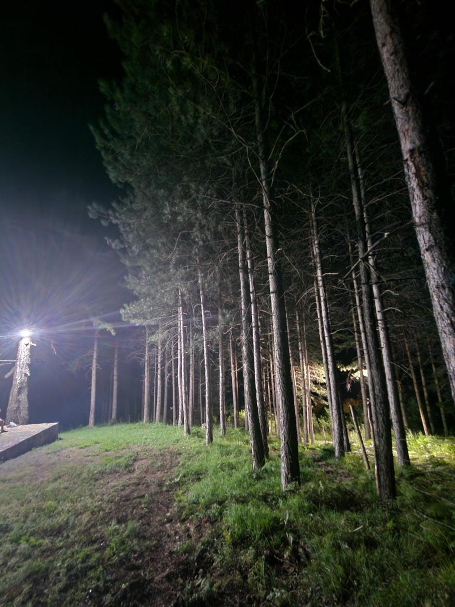 Bujtinat Skenderi Gjinar 2 Villa Ruang foto