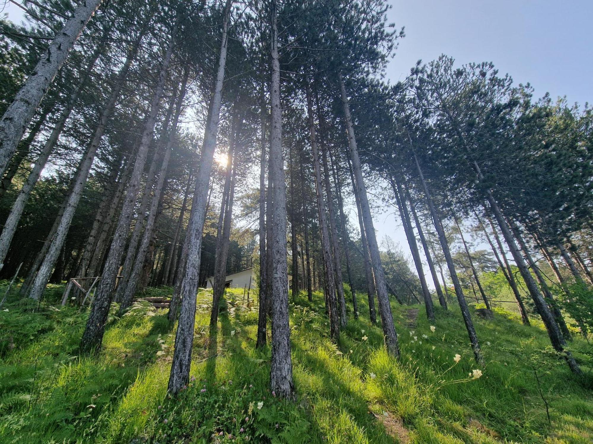 Bujtinat Skenderi Gjinar 2 Villa Ruang foto