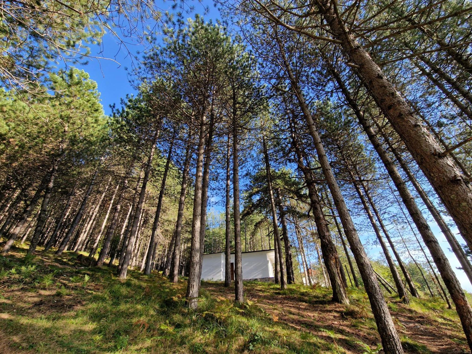Bujtinat Skenderi Gjinar 2 Villa Ruang foto